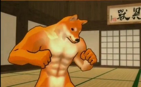 勾拳柴犬 2019-12-24 17:18