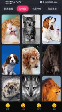 轻甜心壁纸 v1.0