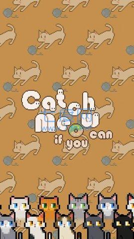 数猫猫截图0