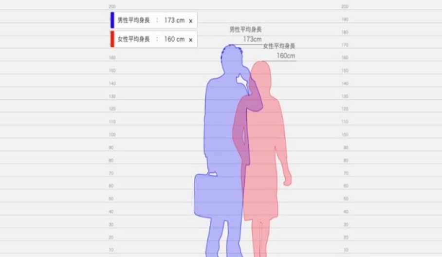 身高模拟器