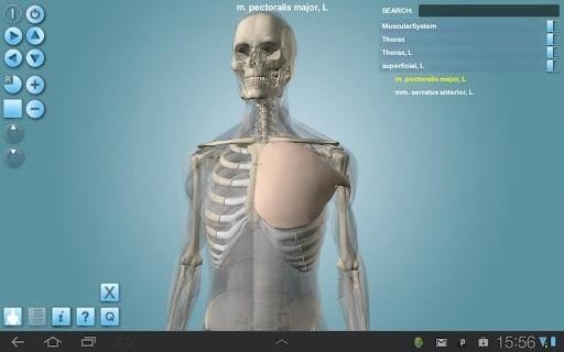 Anatomy 3D 版本：v1.47