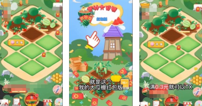 我的大瓜棚