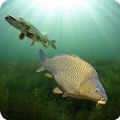 3DCARP钓鱼模拟器安卓官方正版手机游戏下载 10.3