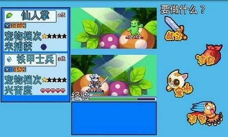 宠物王国5单机版  v9.9