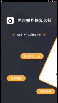 黑白照片修复大师截图0