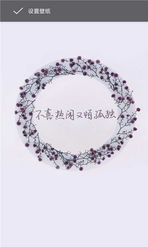 萤火视频壁纸 版本：v6.12