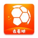 去看球