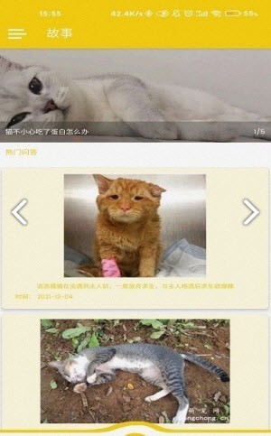 博猫截图2