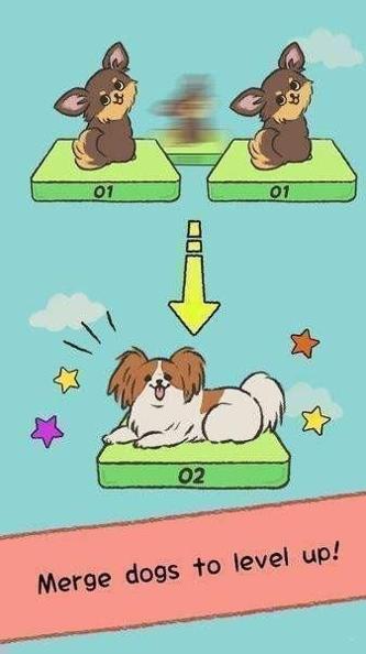 我可爱的小狗.jpg