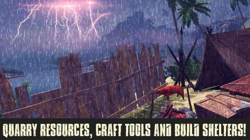 荒岛求生之路 2024-06-25 15:08