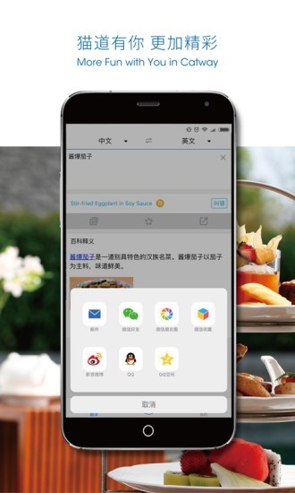 猫道截图1