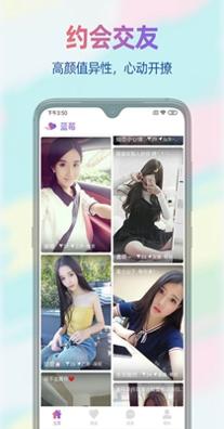 蓝莓夜聊截图1