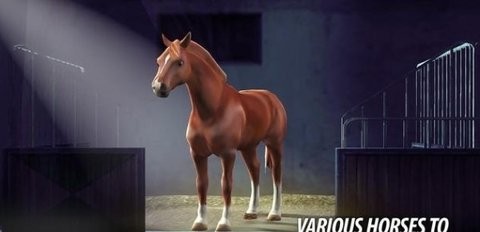 竞马比赛 2021-09-10 17:45