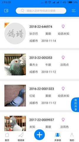 天下鸽谱截图1