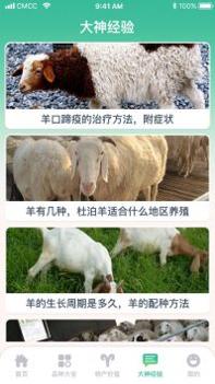 养羊指南截图2