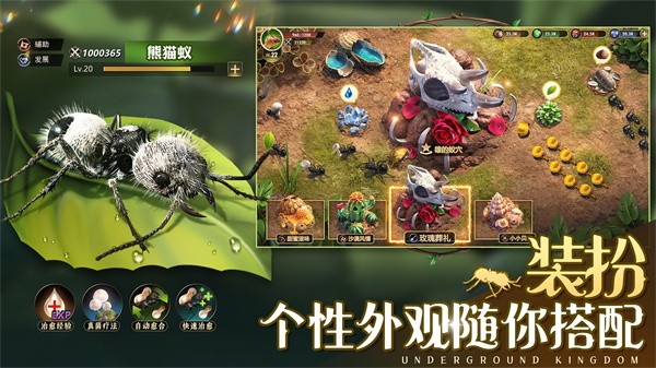 小小蚁国公测版  v1.82.0