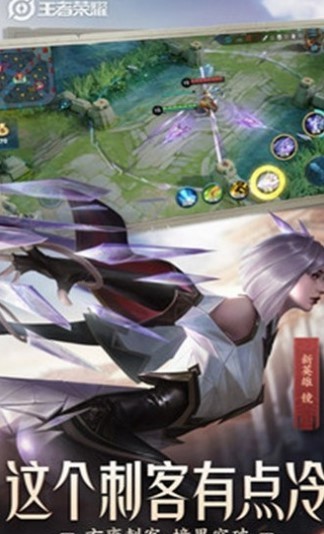 主叶群截图1