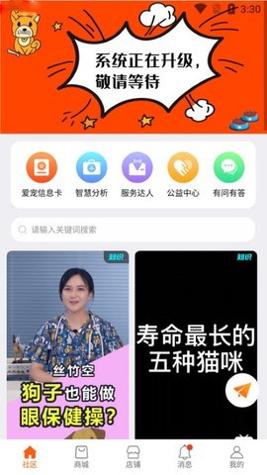 世纪天宠截图1