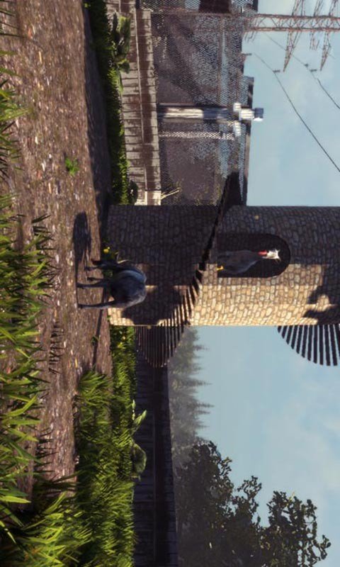 模拟山羊高清版 版本：v5.2