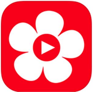 布米米app
