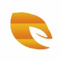枫叶暖暖app官方客户端 