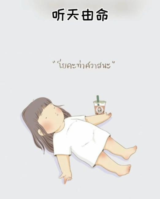 美丑由命胖瘦在天天要我胖听天由命的表情包动态图片 v1.0