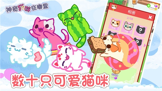 神奇猫咪在哪里截图2