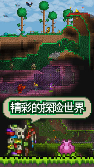 泰拉瑞亚1.4pe国际版测试版下载 截图0