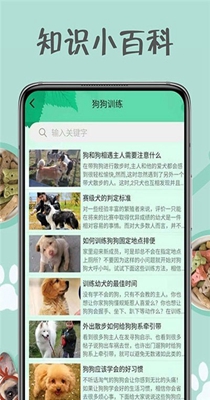 小狗交流器.jpg
