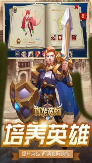 真龙英雄 果盘版
