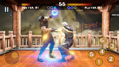 忍者格斗2019 2021-03-29 11:49