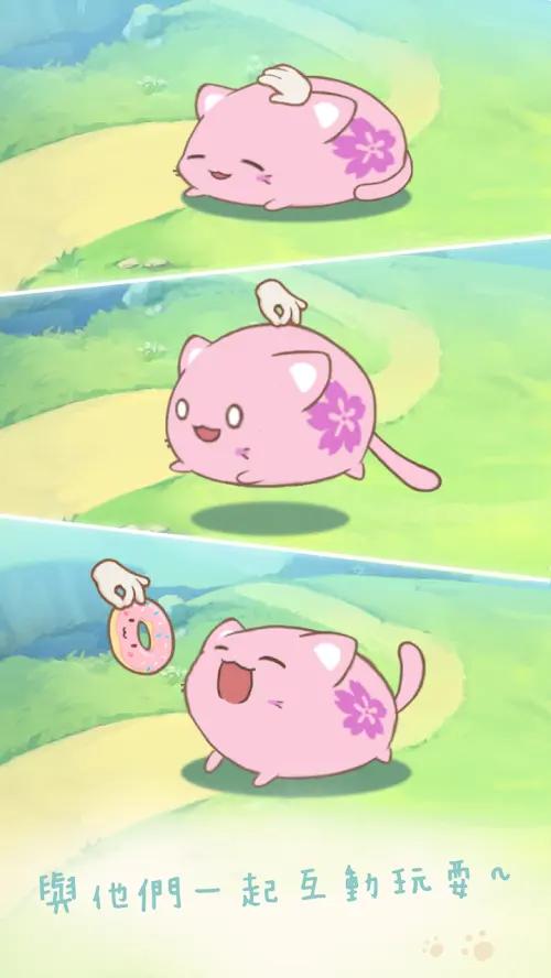 麻糬猫收藏 v1.20240424.0