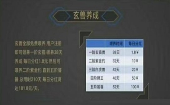 玄猫截图0