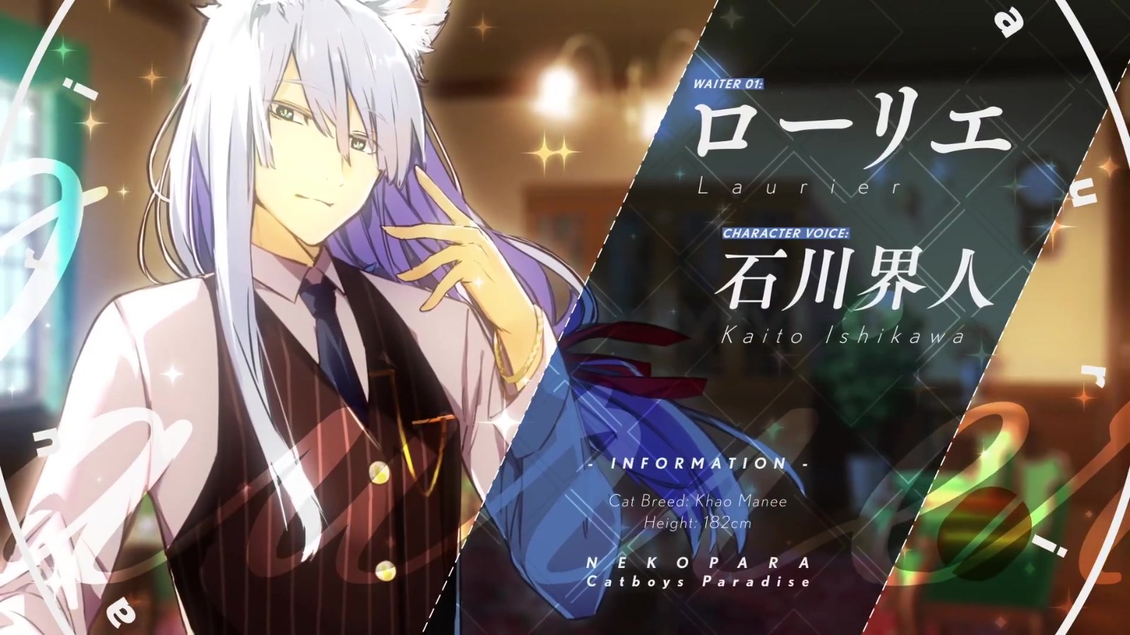 猫郎乐园中文汉化手机版  v3.4.3