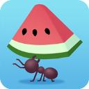 小蚁帝国国际服