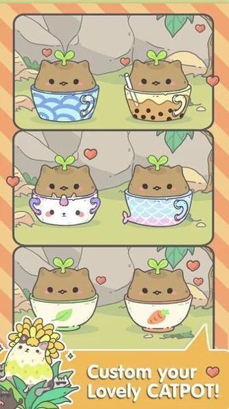 My CatPots.jpg