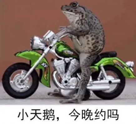 小天鹅我想你了约会吗表情包 截图2