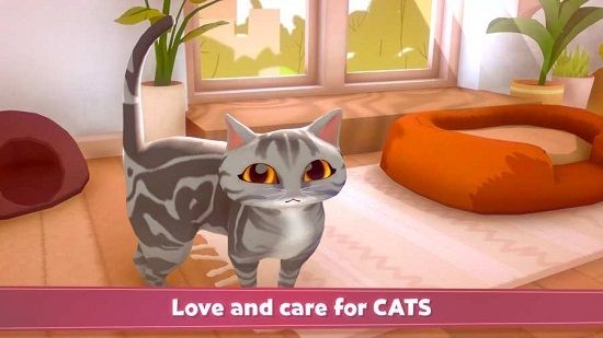 我的猫舍中文版最新版图片1
