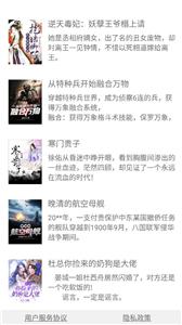镇国小说