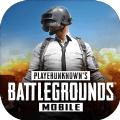 绝地求生pubg国际服直装下载安装 