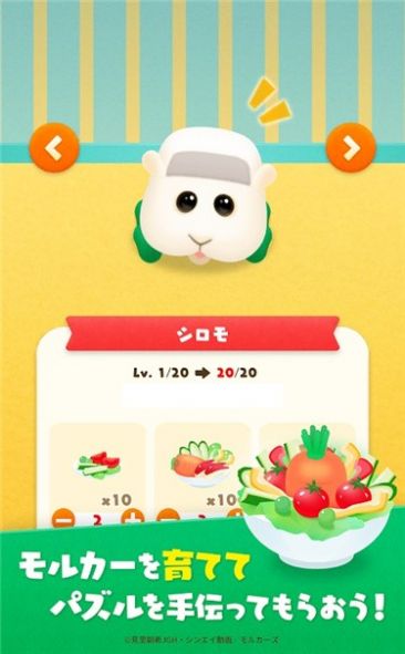 集合摩尔卡截图0