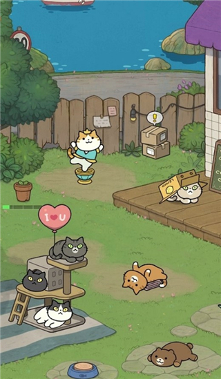 神秘猫咪字典最新版本 v0271