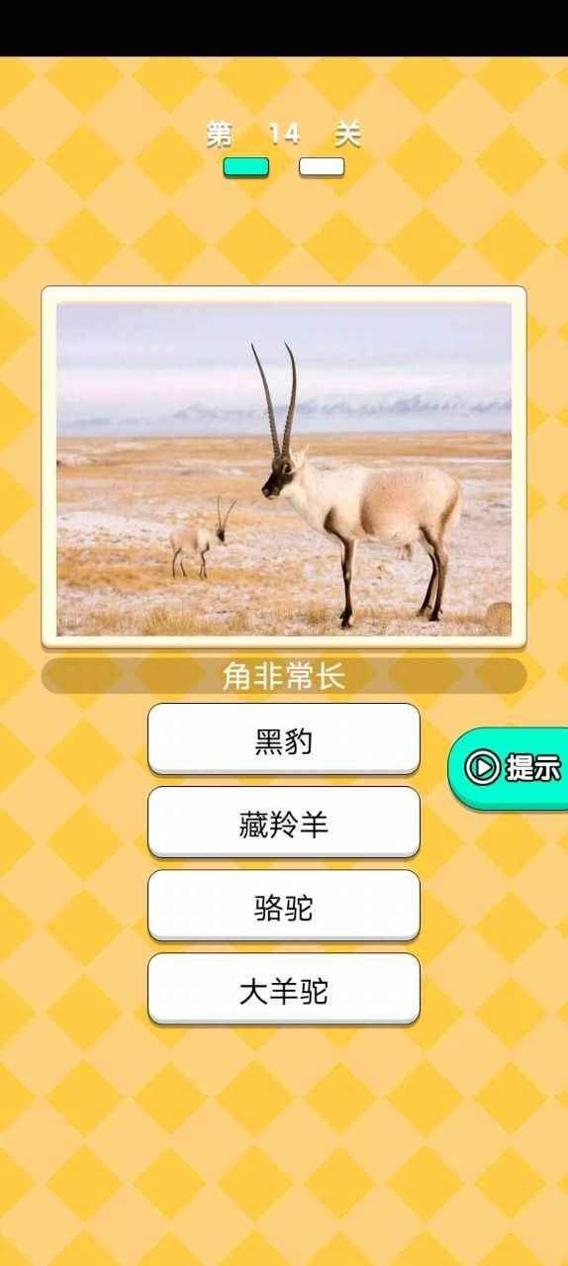 动物研究院.jpg