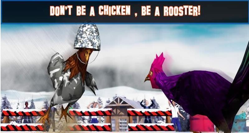 功夫鸡战 2024-06-25 15:08