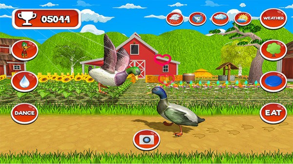 会说话的鸭子模拟 2020-03-05 11:23