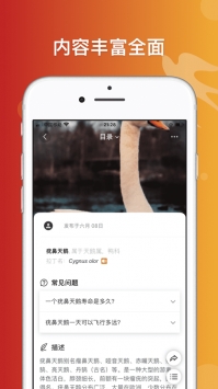 形色识鸟截图2