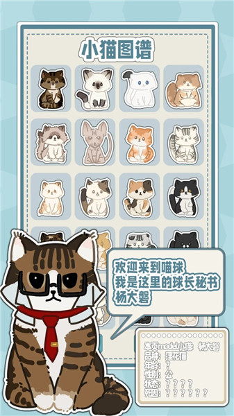 喵星来信