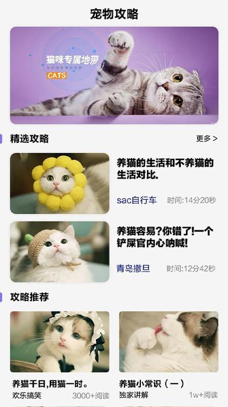 可爱喵喵壁纸截图2