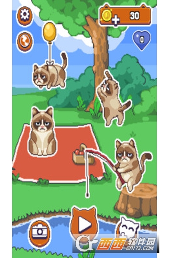 不爽的猫Grumpy Cat