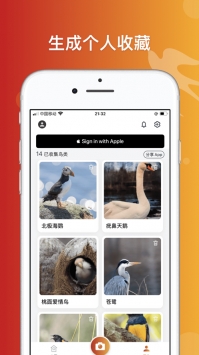 形色识鸟截图3